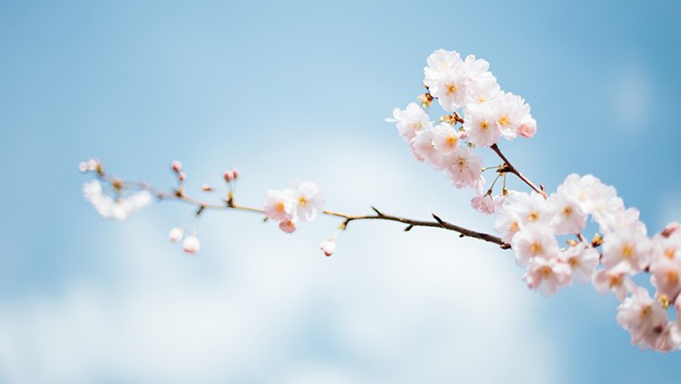 JDB���ӡ�(�й���)����ƽ̨-JDB������Ϸ����