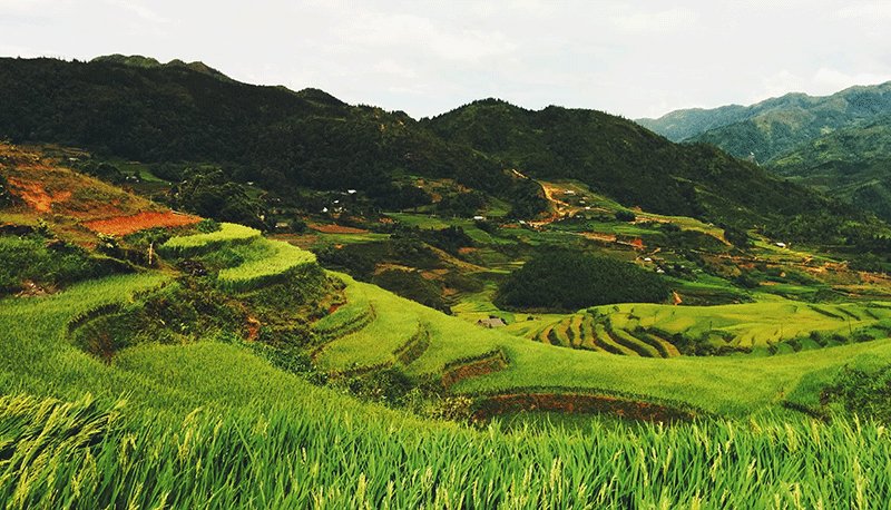 JDB���ӡ�(�й���)����ƽ̨-JDB������Ϸ����