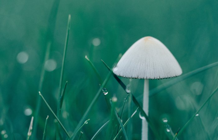 JDB���ӡ�(�й���)����ƽ̨-JDB������Ϸ����